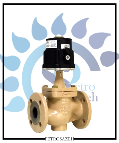 3354 - GLOBE CONTROL VALVE